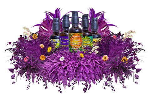 FES Aceites Corporales